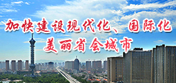 加快建设现代化国际化美丽省会城市