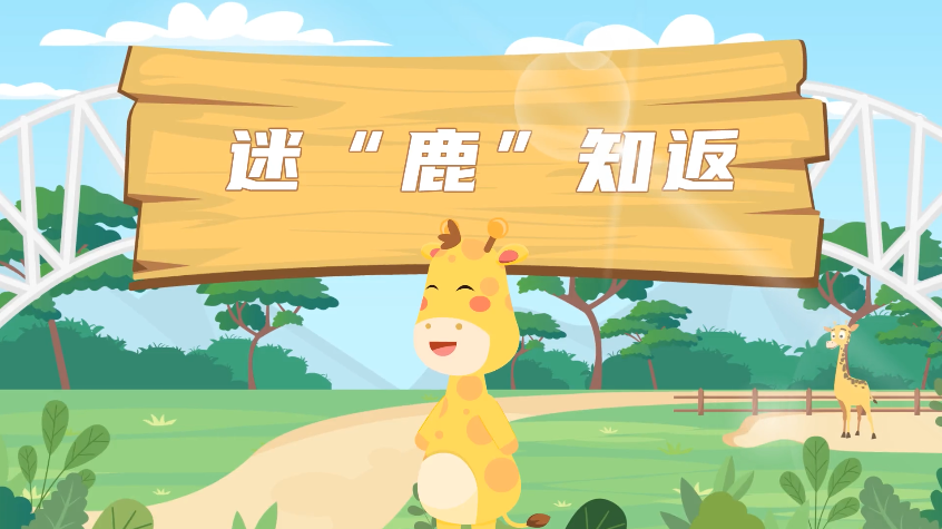 网络安全微视频——《迷
