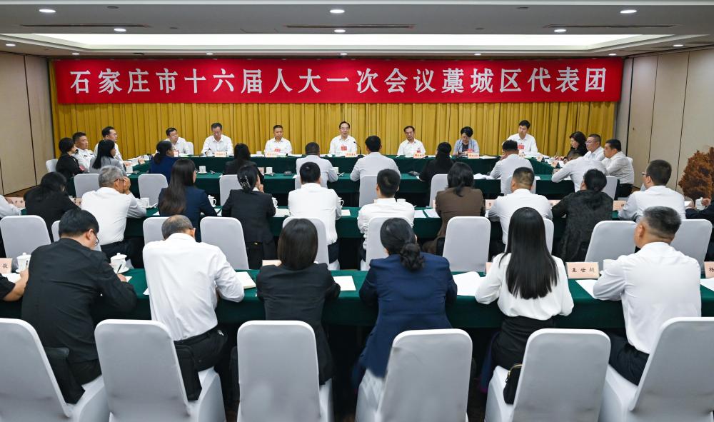 赌博正规的十大网站参加市十六届人大一次会议藁城区、正定县代表团审议