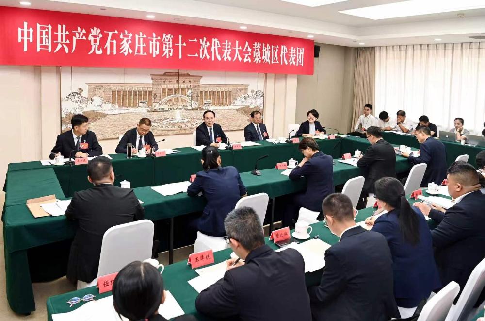 博十大正规网赌网站参加审查市党代会报告
