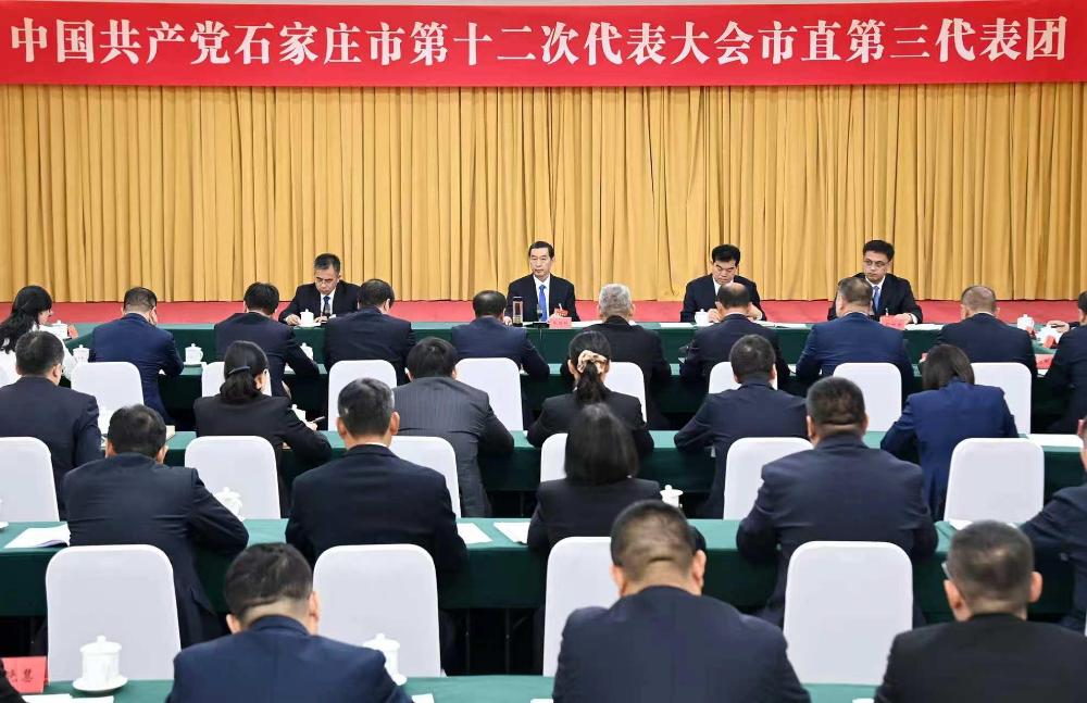 赌博正规的十大网站在市直第三代表团审查市党代会报告