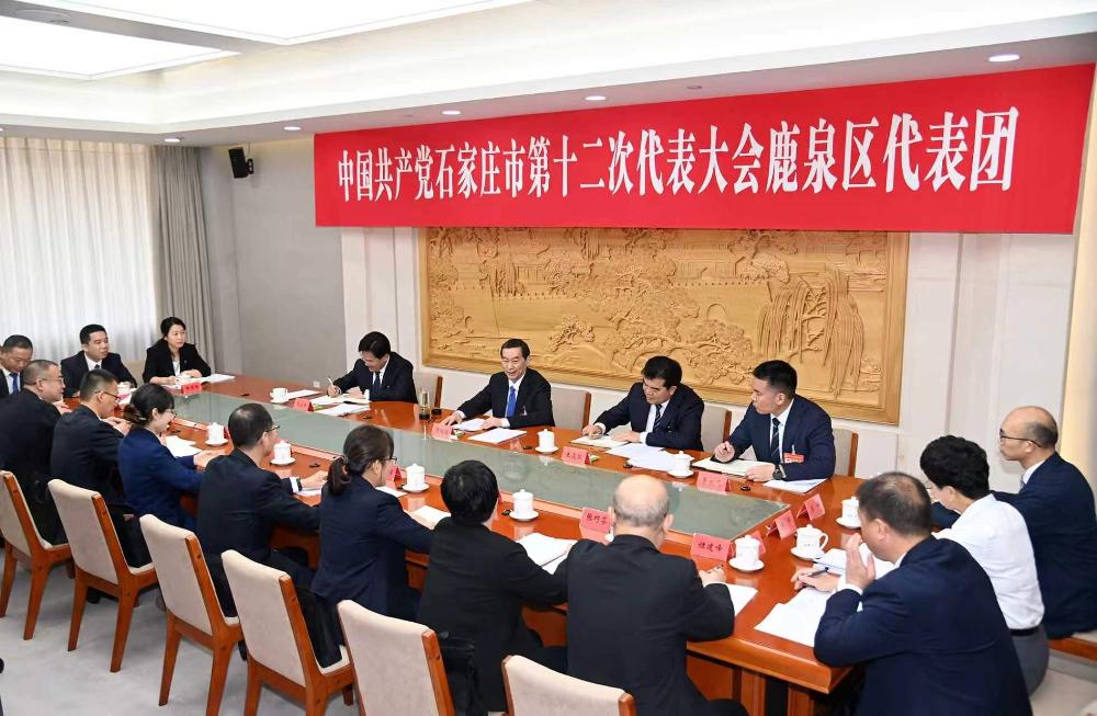 赌博正规的十大网站在鹿泉区代表团审查市党代会报告