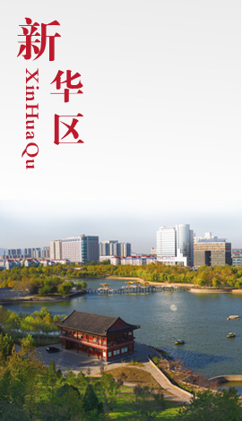 新华